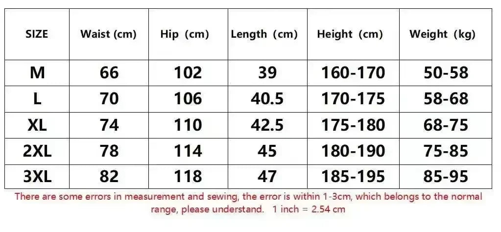 Men's Summer Gym Shorts Breathable Quick Dry Beach Surfboard Exercise Sports Casual Lightweight Running Pants