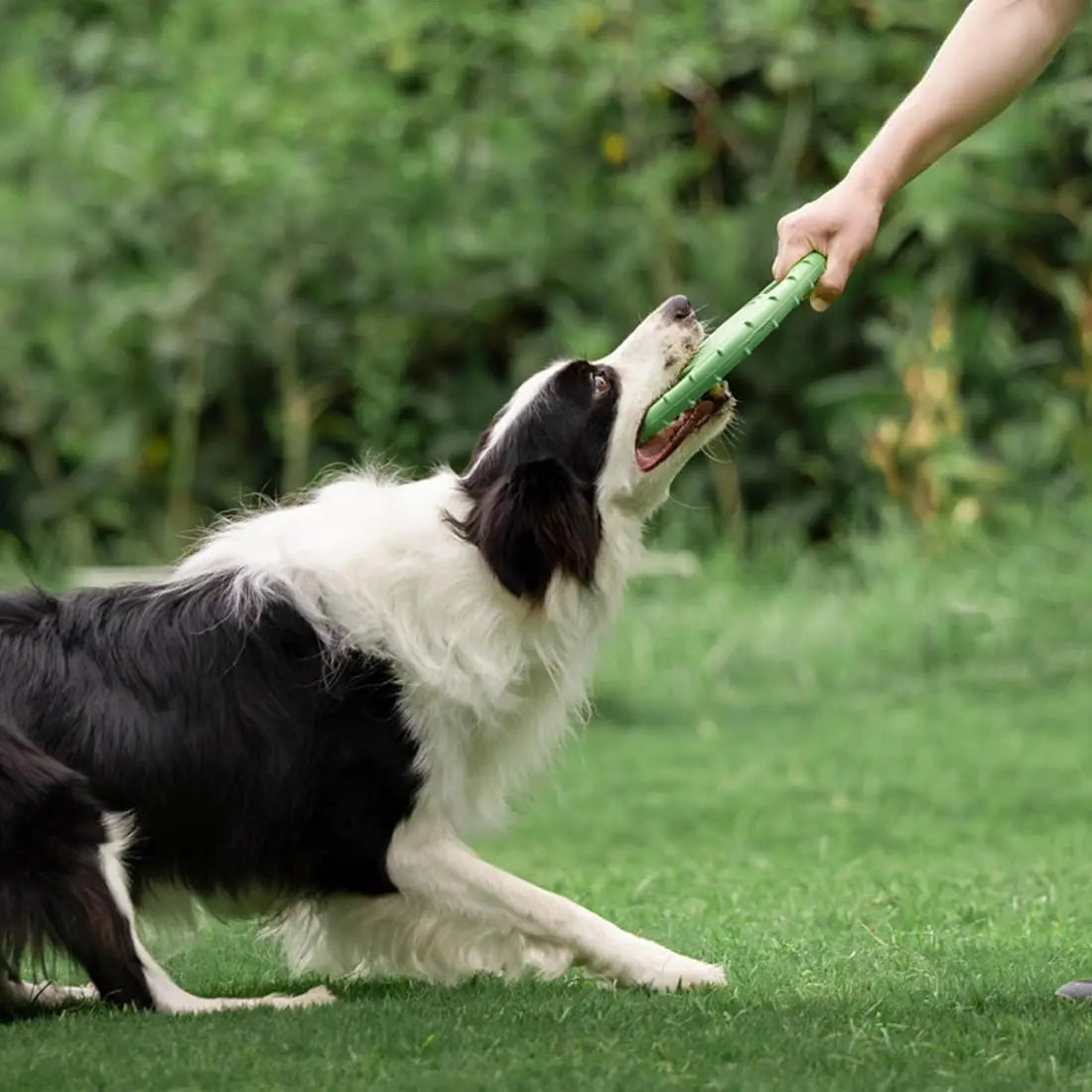 EVA Flying Disc Dog Training Toy Puppy Outdoor Interactive Game Playing Supplies Pet Chewing Flying Saucer Floating Water Toy