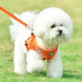 Reflective Pet Harness And Leash Set For Dog & Cat, No Pull Dog Vest Harness With Breathable Mesh