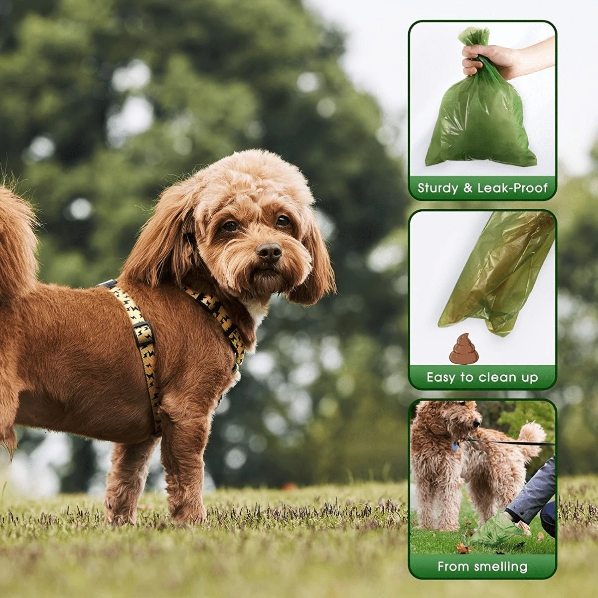 2/60Rolls Degradable Dog Poop Bags,Portable Leak-Proof Odor-Control Pet Waste Bags for Cats and Dogs, Suitable for Outdoor Use