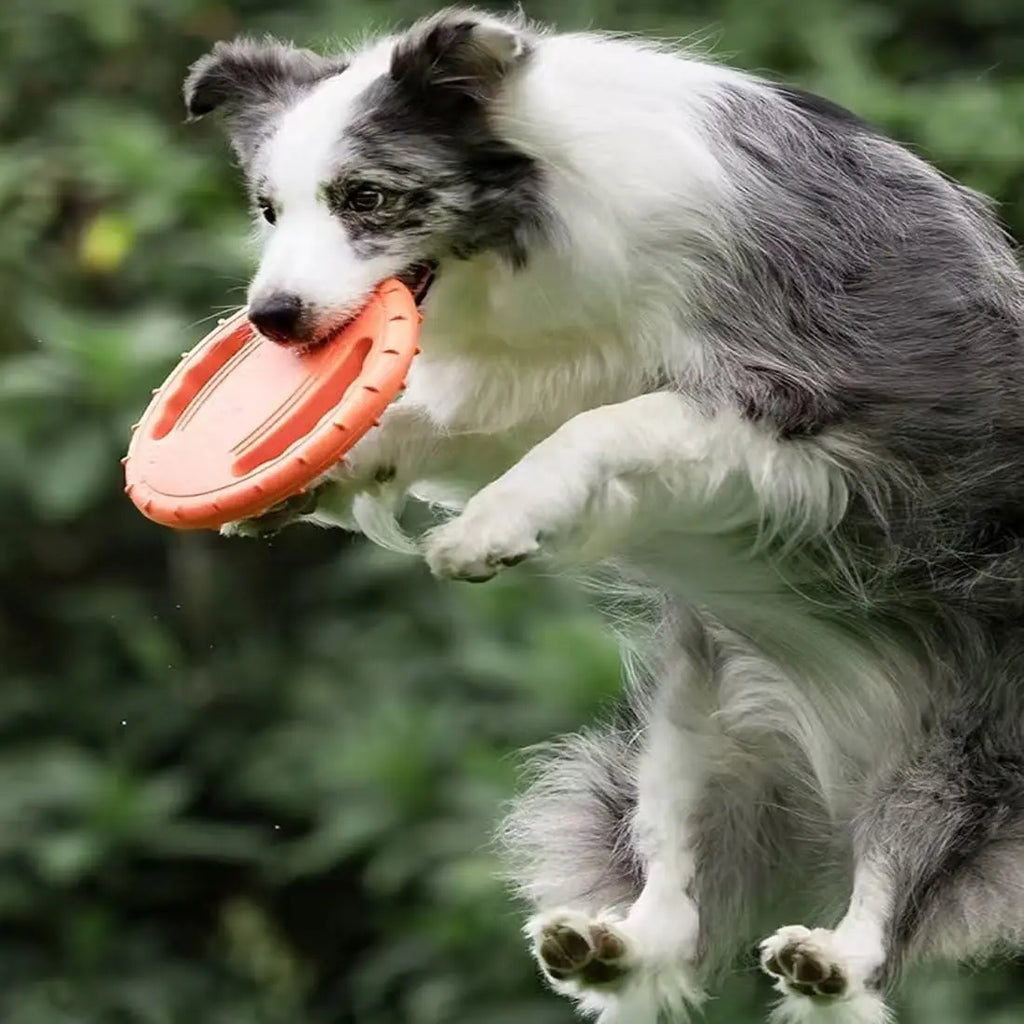 EVA Flying Disc Dog Training Toy Puppy Outdoor Interactive Game Playing Supplies Pet Chewing Flying Saucer Floating Water Toy